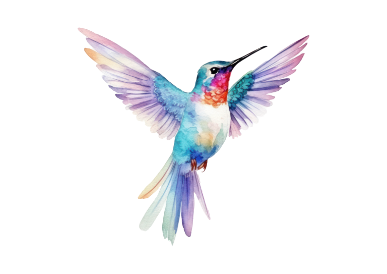 Illustration à l'aquarelle d'un colibri aux ailes déployées, avec des nuances de bleu, de violet, de rose et d'orange sur fond blanc - une pièce vibrante parfaite pour ajouter de la couleur à votre recyclerie ou à votre espace écologique.